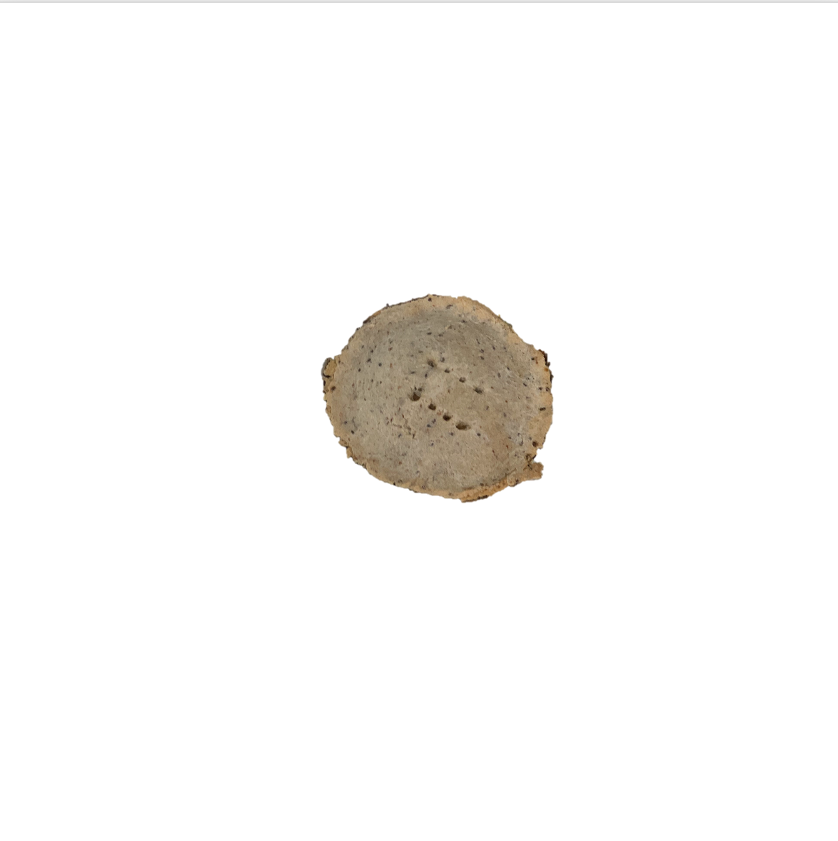MUSHROOM PIE