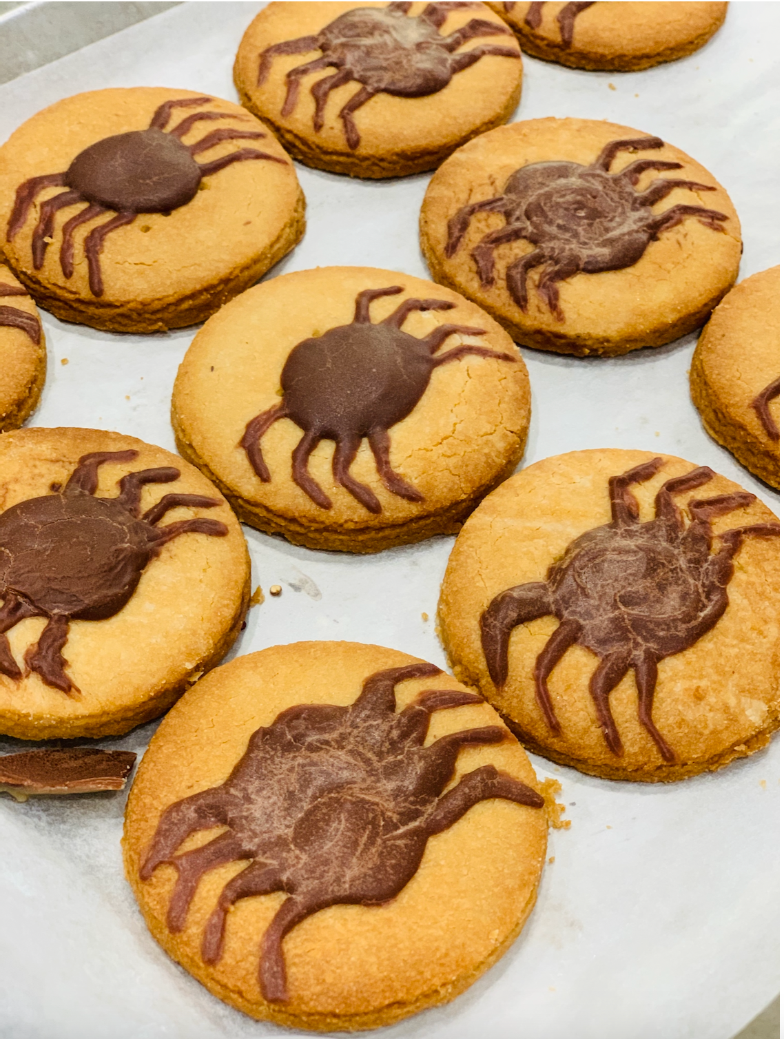 SHORTBREAD SPIDERS- LIMITED EDITION PICKUP ONLY