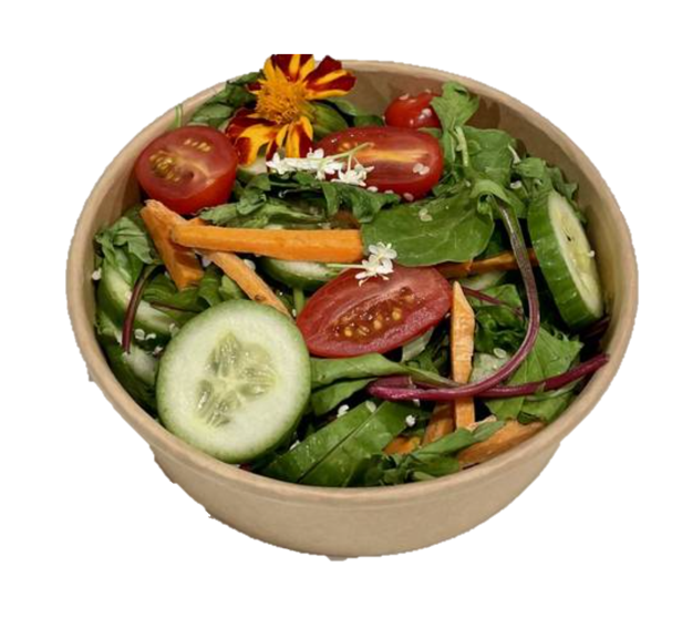 GARDEN SALAD