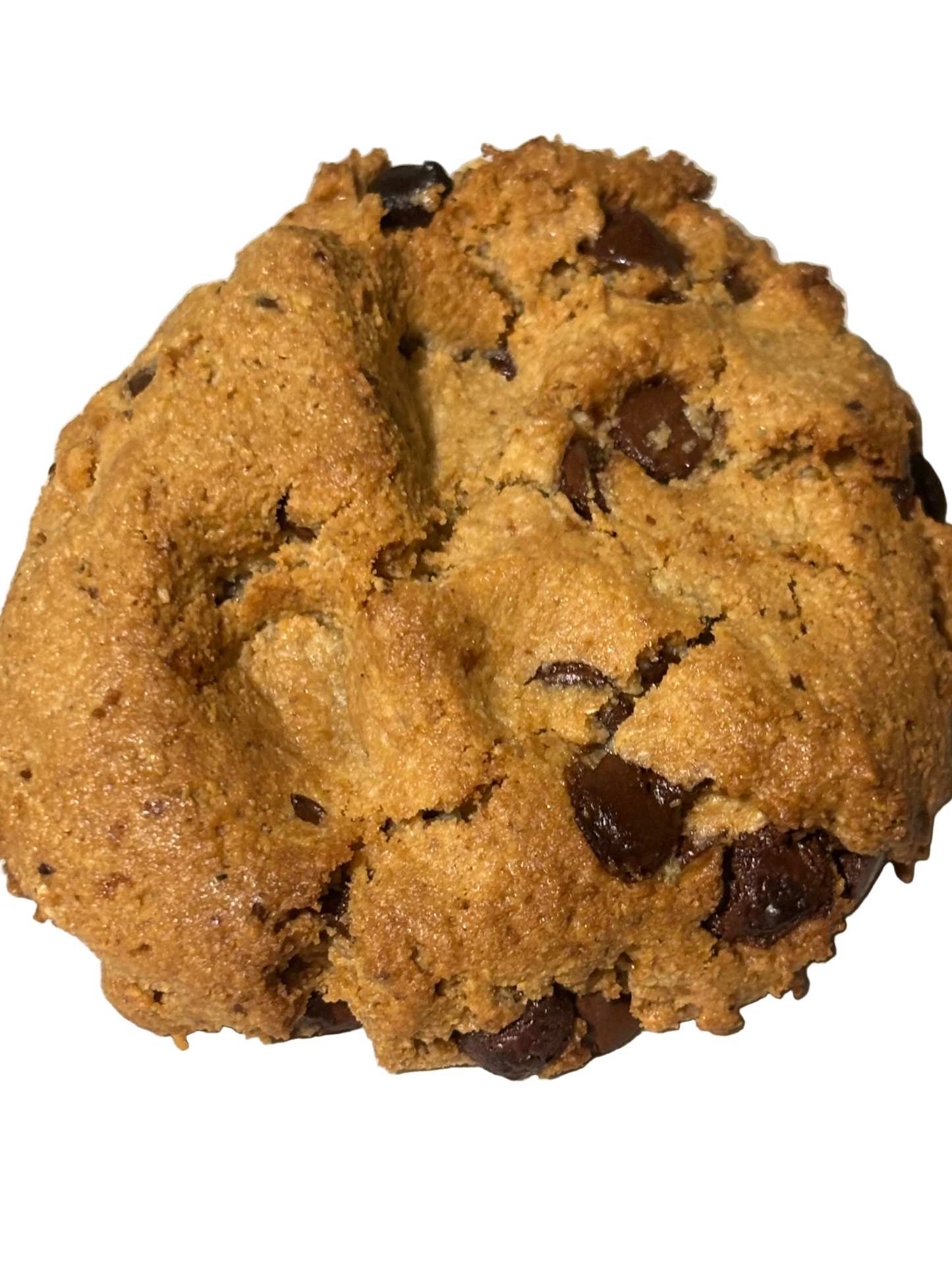 NEW YORK HAZELNUT CHOC COOKIE