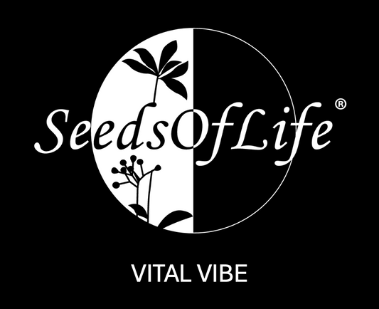 JUNE WORKSHOP VITAL VIBE