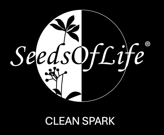 OCTOBER WORKSHOP CLEAN SPARK