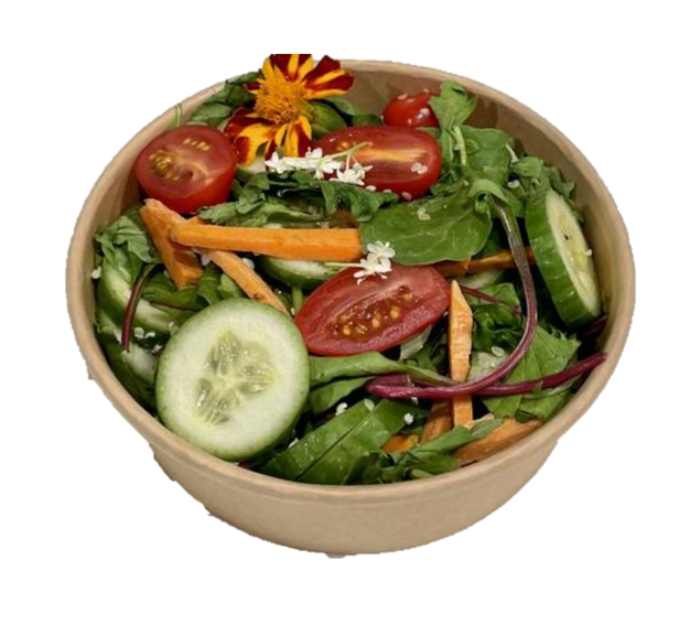 GARDEN SALAD (pick up only)